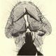 Illustration for article titled 110 Years Ago, These Microscopic Photos Horrified Londoners